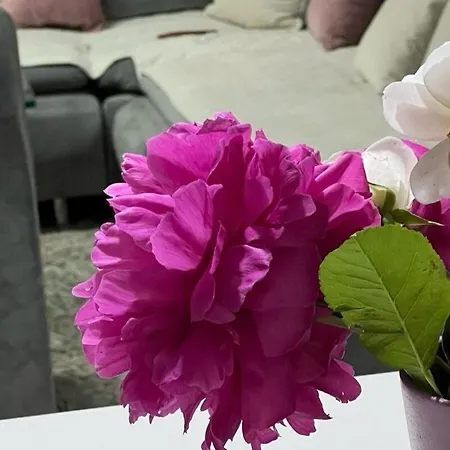 Dalia